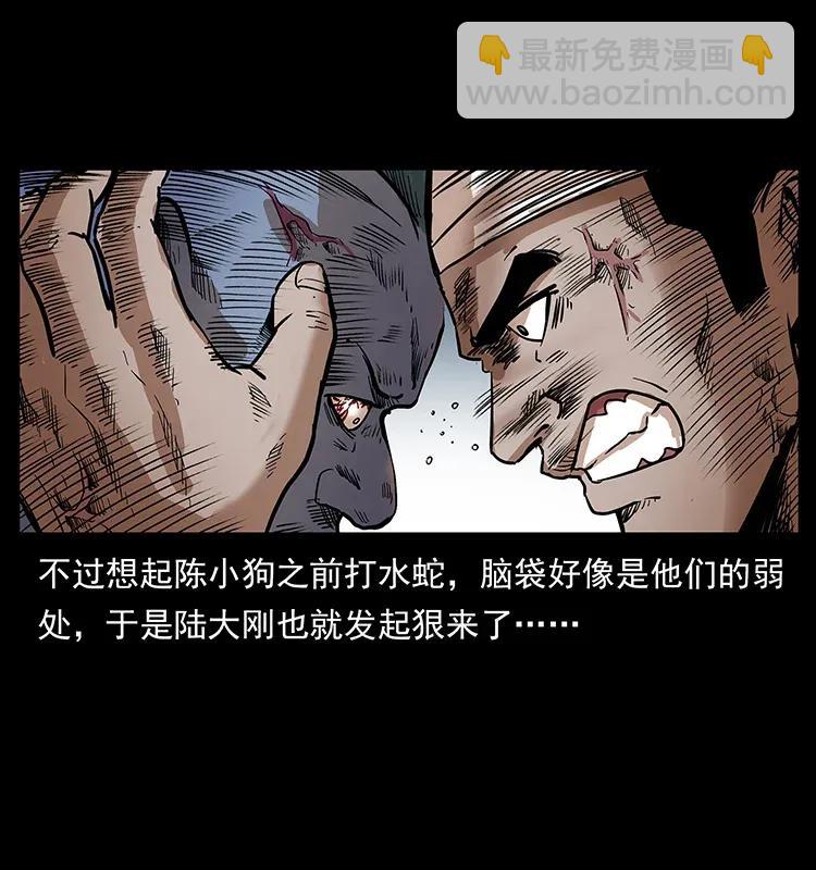 289 谋变55