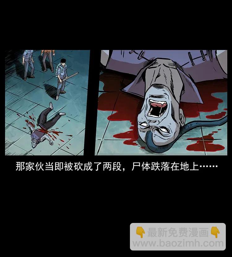290 神王？53