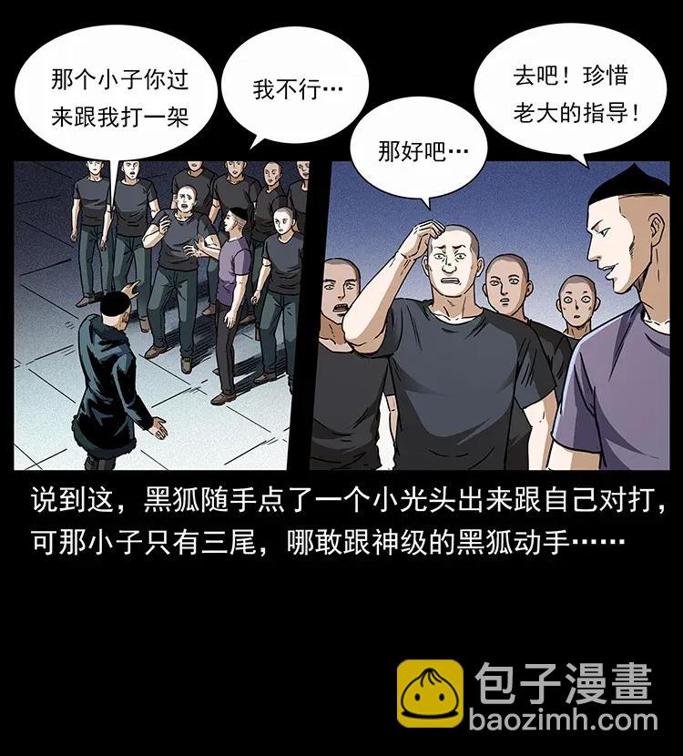 310 黑狐的神仙日子22