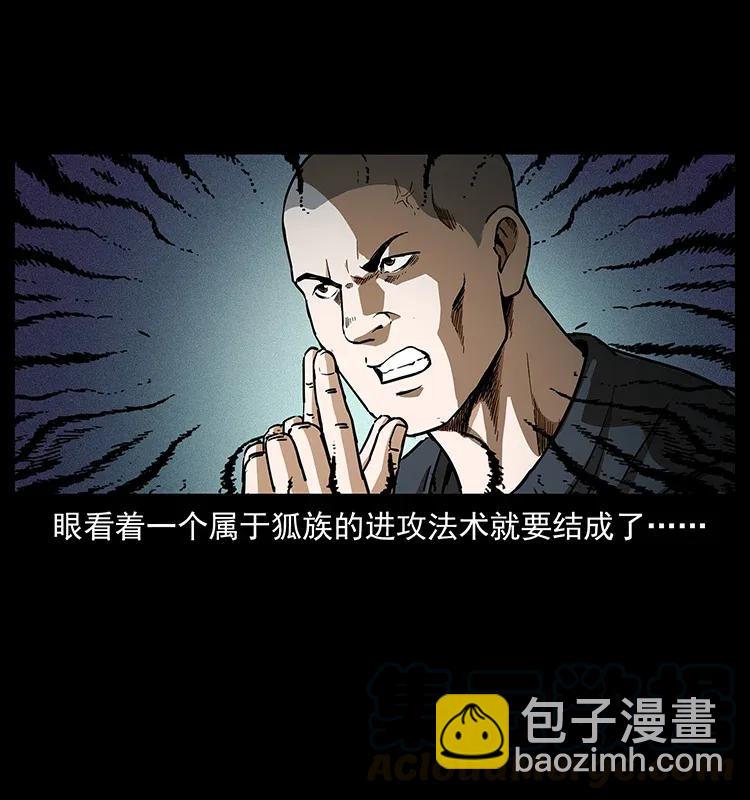 310 黑狐的神仙日子24