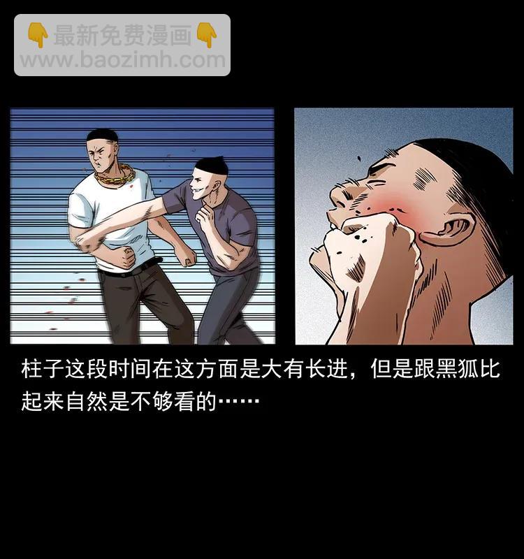 310 黑狐的神仙日子33