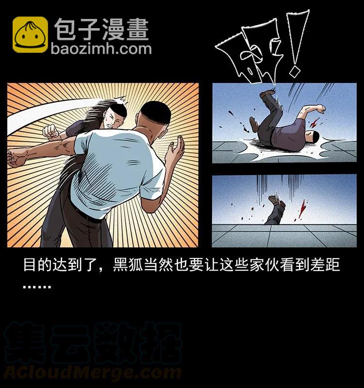 310 黑狐的神仙日子36
