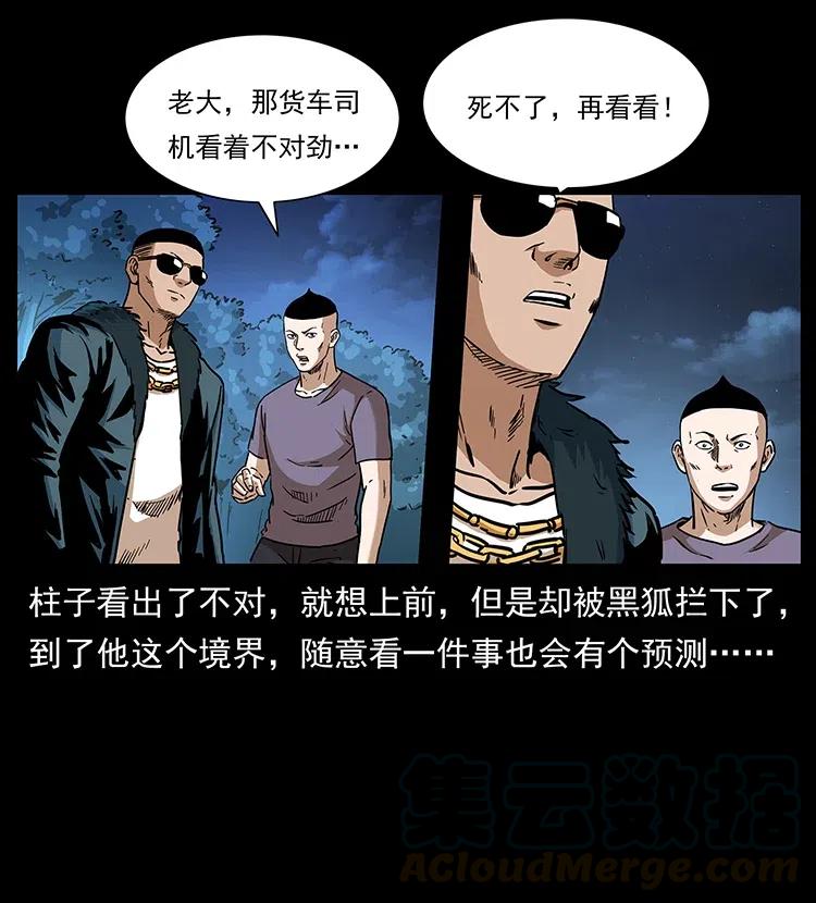311 一窝生几个？16