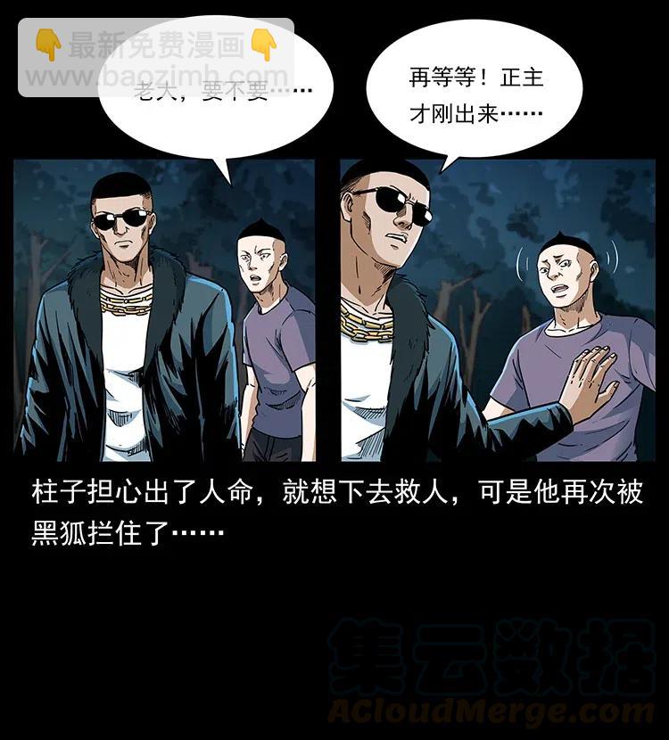 311 一窝生几个？24