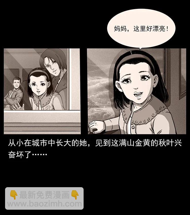311 一窝生几个？43