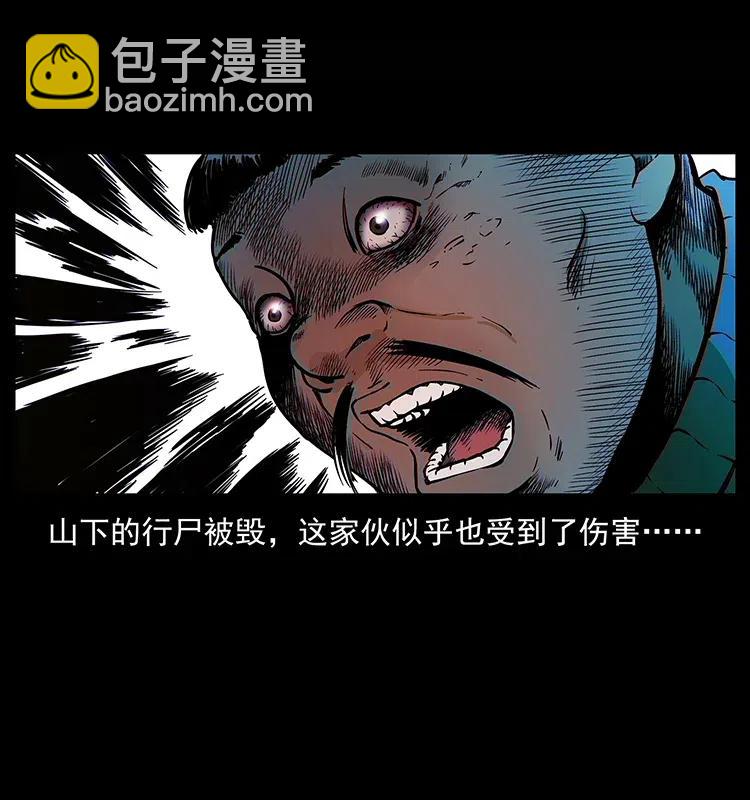 313 兽形僵尸29