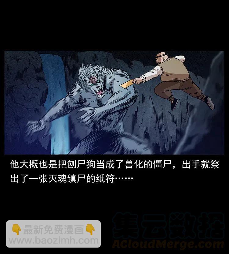 313 兽形僵尸36