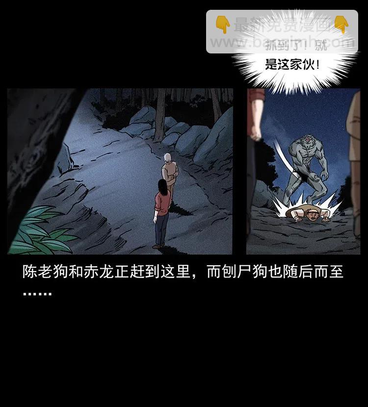 313 兽形僵尸41