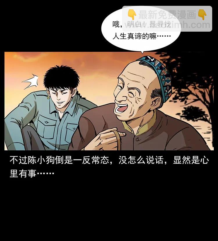 316 大漠归客29