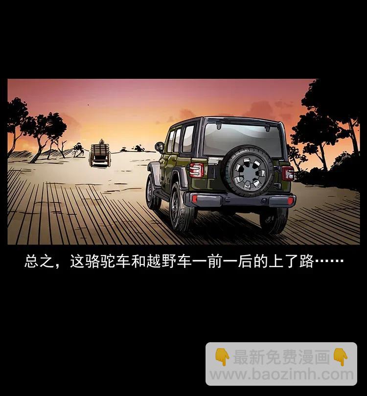 316 大漠归客30