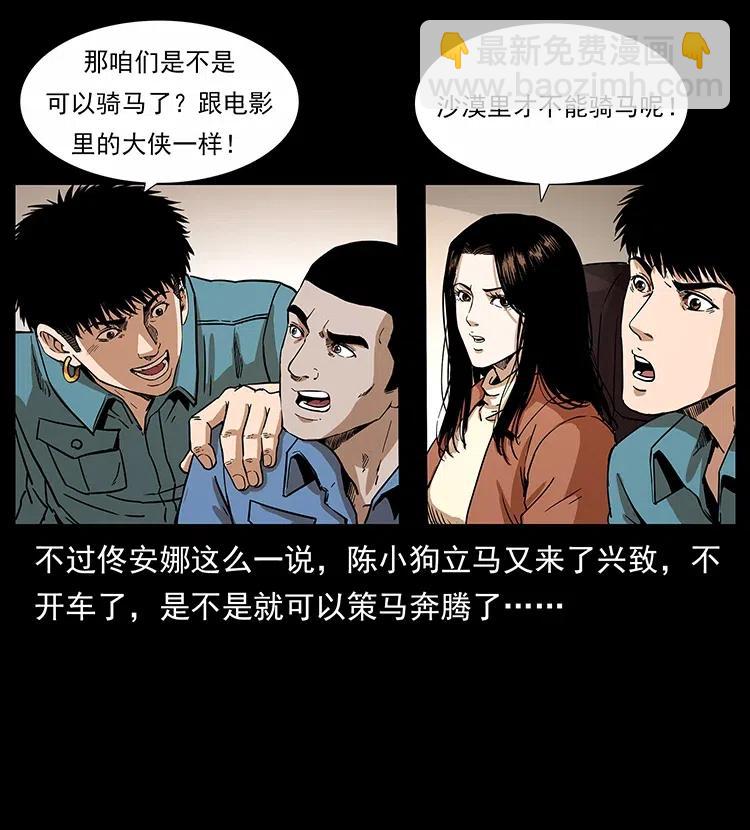 316 大漠归客6
