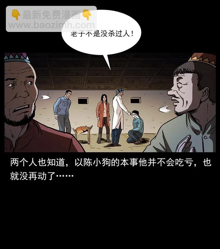 316 大漠归客67