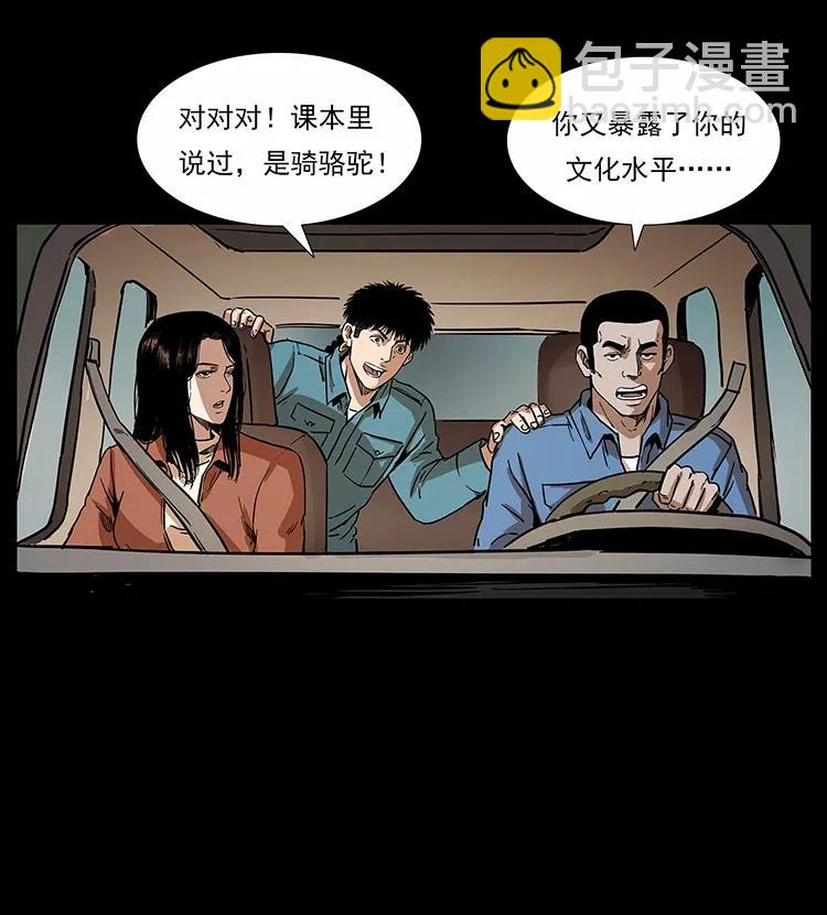 316 大漠归客7