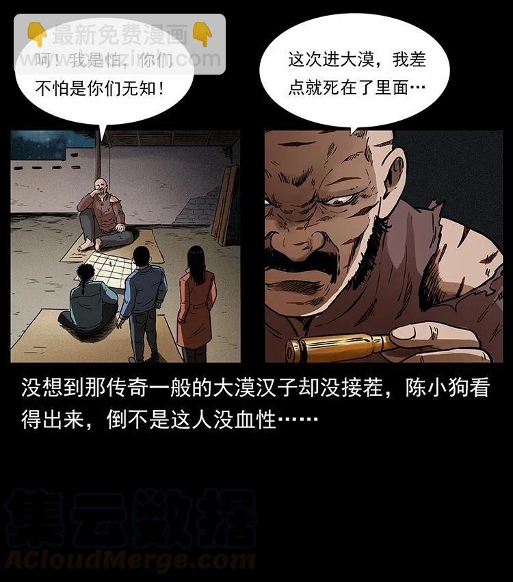 316 大漠归客88