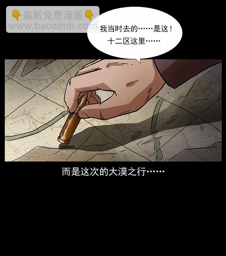 316 大漠归客89