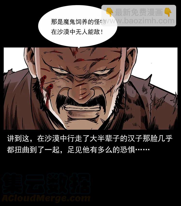 317 大漠凶兽20