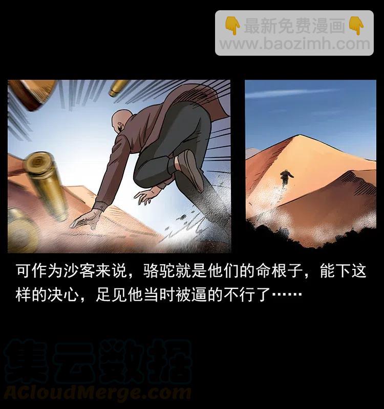 317 大漠凶兽24