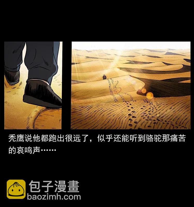 317 大漠凶兽26