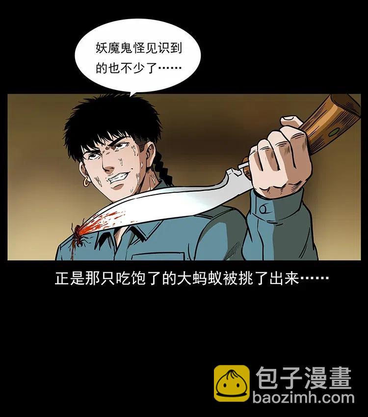317 大漠凶兽42
