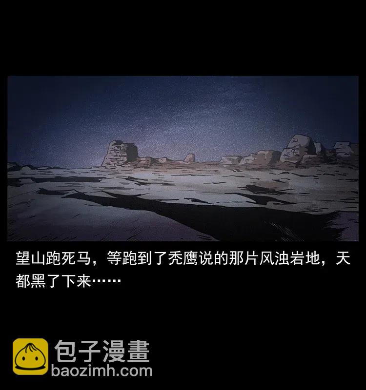 318 沙漠秃鹰11