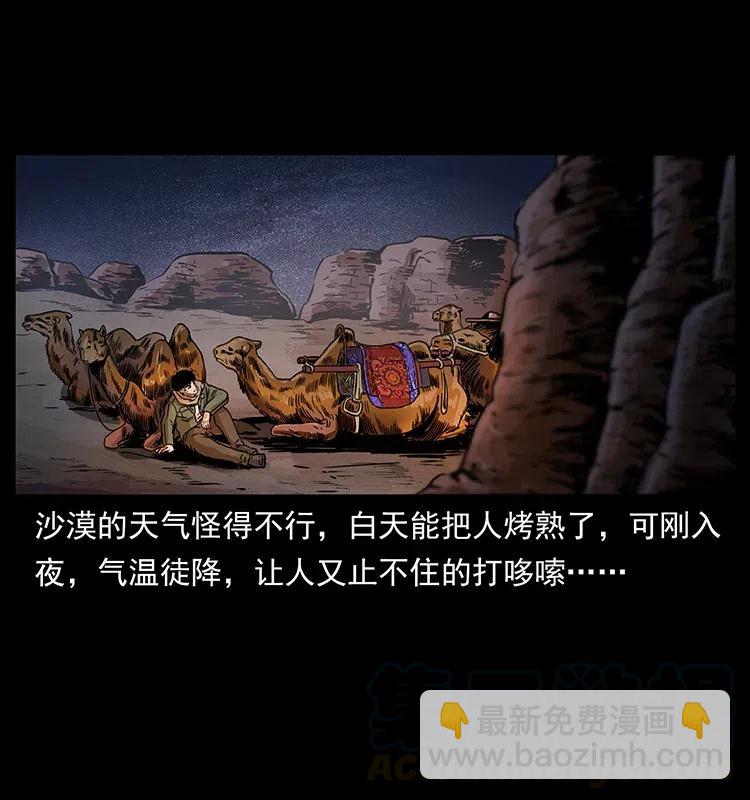 318 沙漠秃鹰12