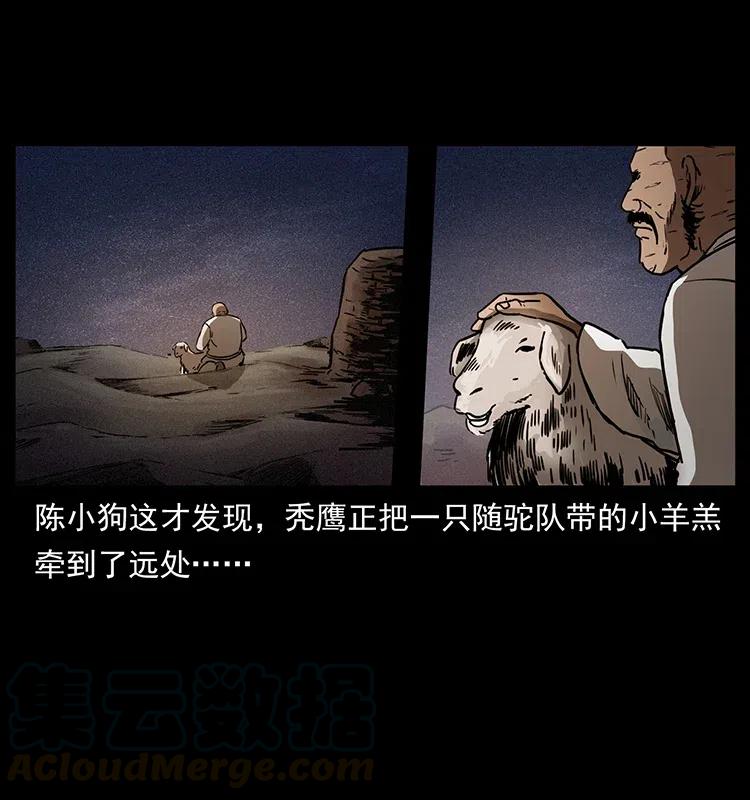 318 沙漠秃鹰16