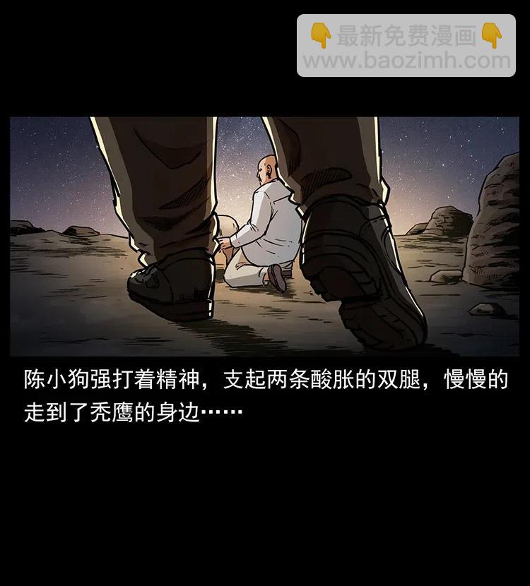318 沙漠秃鹰17