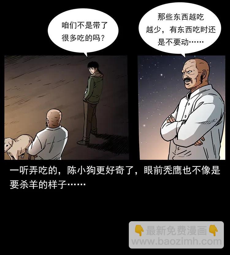 318 沙漠秃鹰19