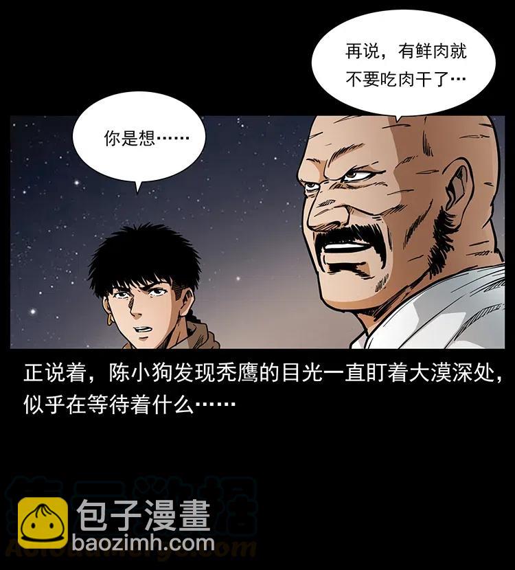 318 沙漠秃鹰20