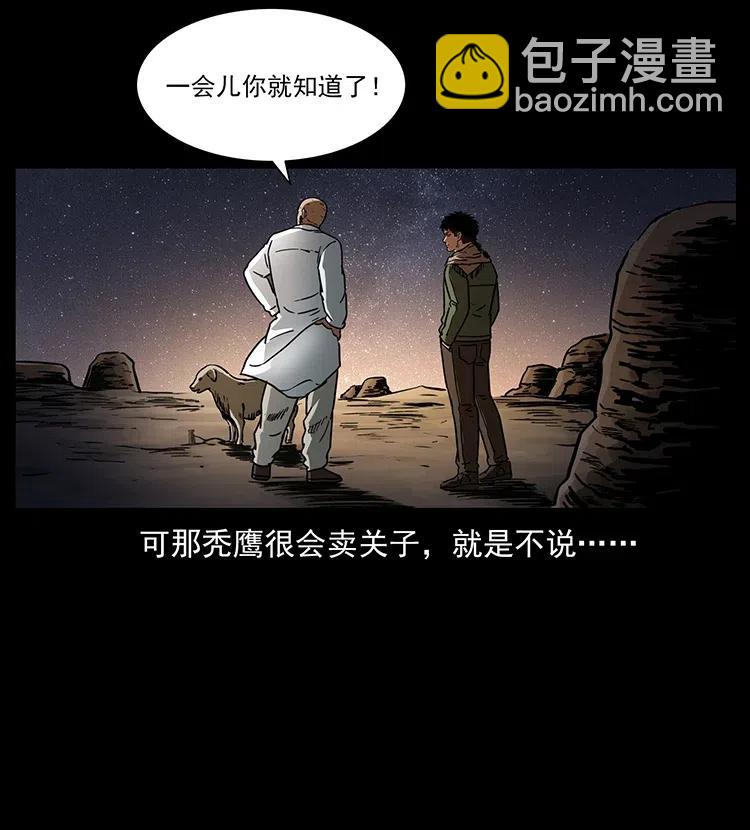318 沙漠秃鹰21