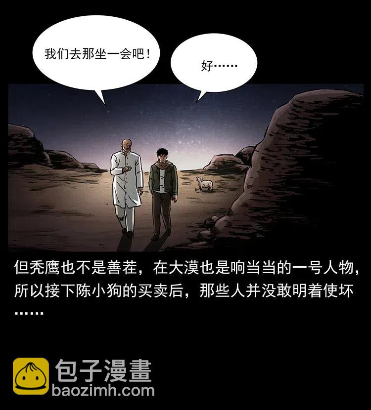 318 沙漠秃鹰26