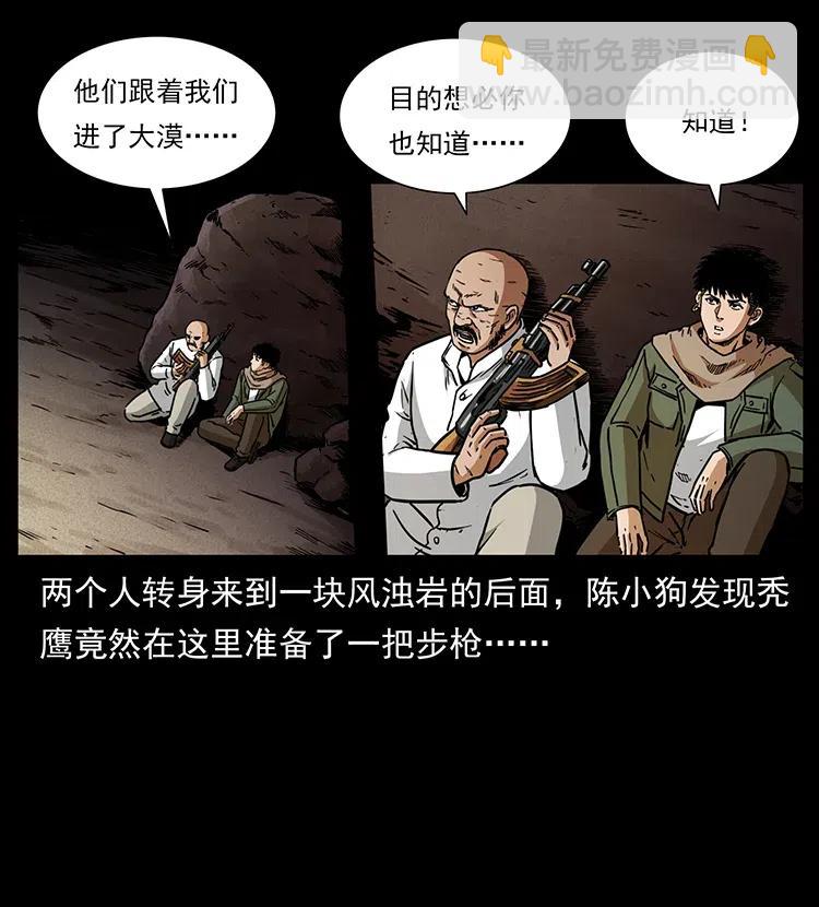 318 沙漠秃鹰27