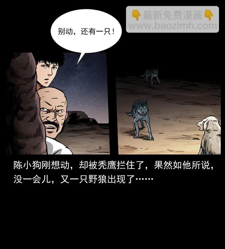 318 沙漠秃鹰31