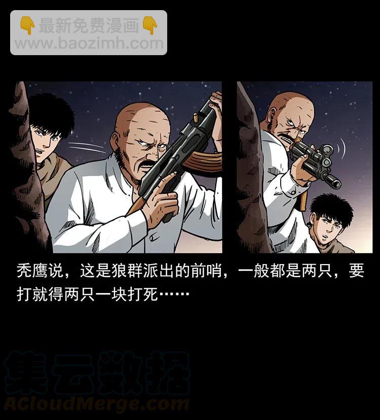 318 沙漠秃鹰32