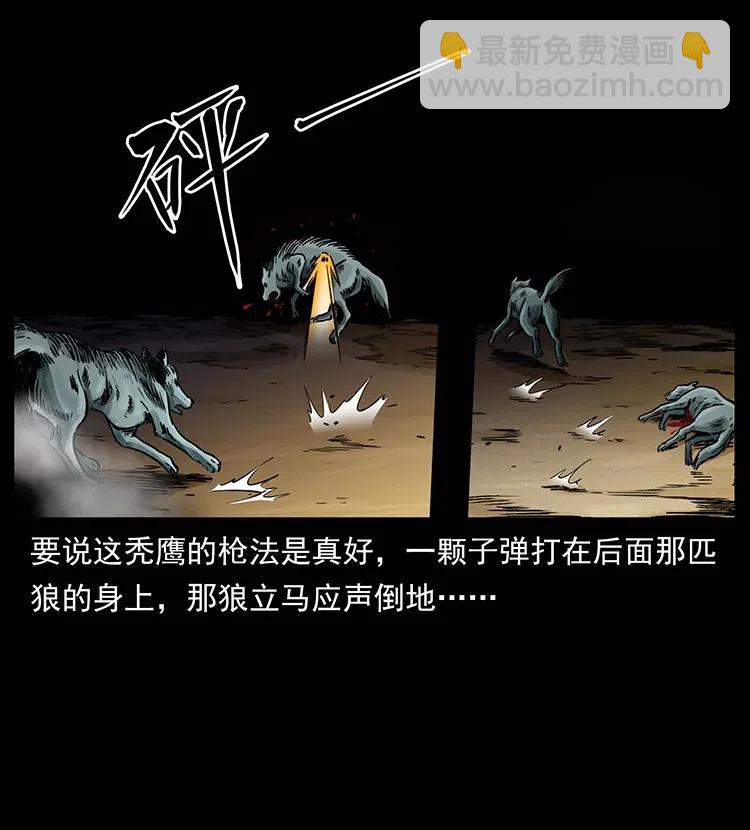 318 沙漠秃鹰33