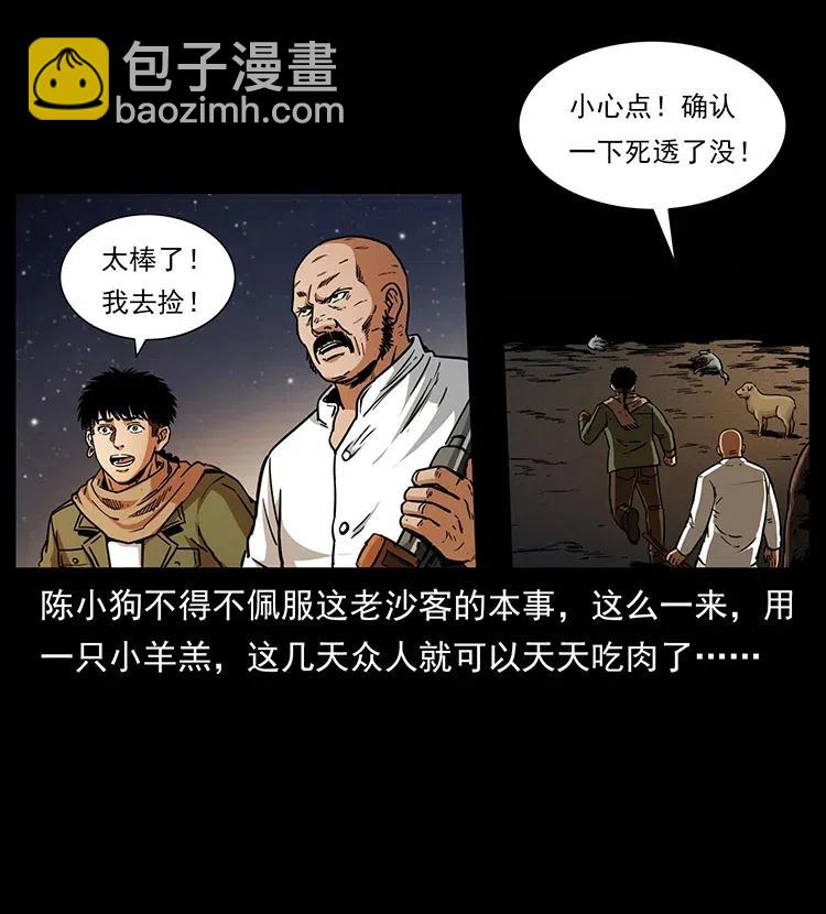 318 沙漠秃鹰37