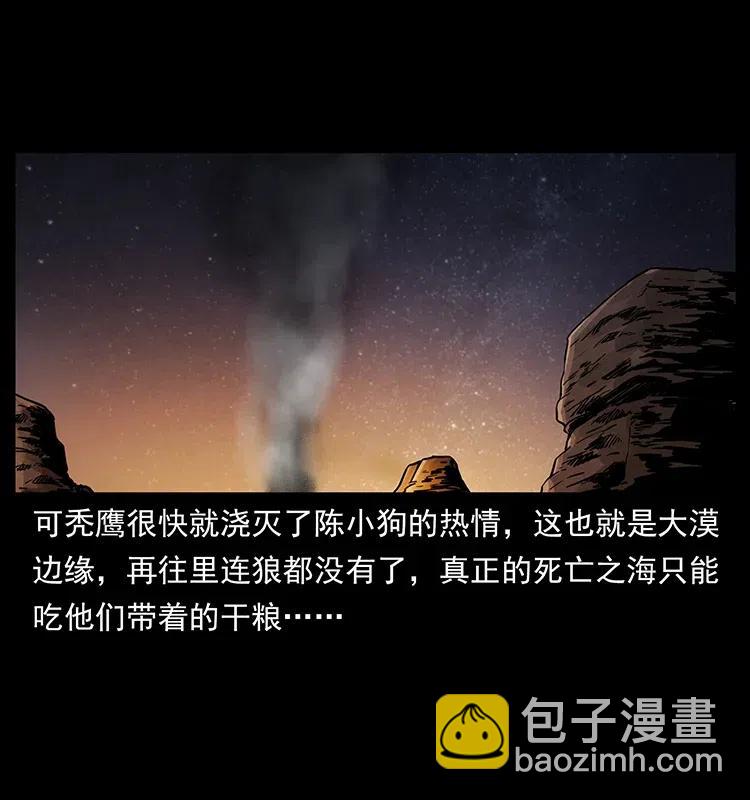 318 沙漠秃鹰38