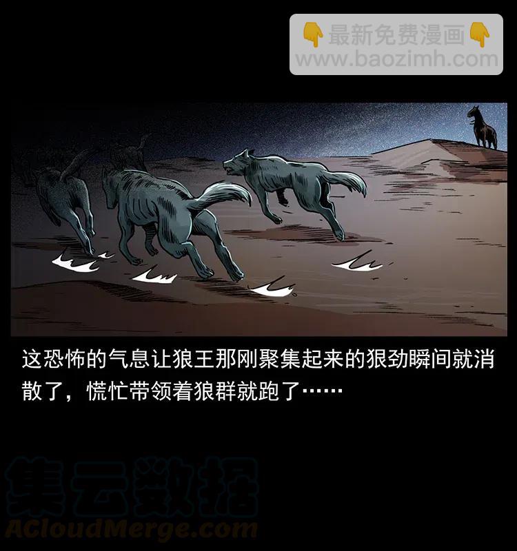 318 沙漠秃鹰44