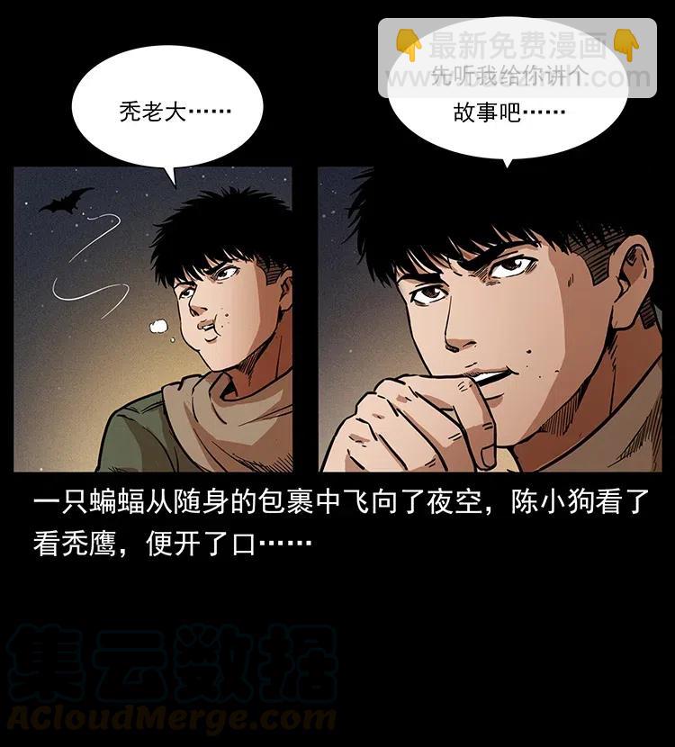 318 沙漠秃鹰48