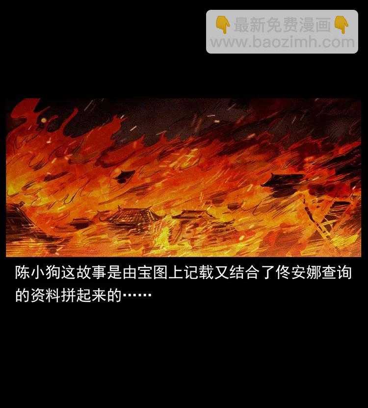 318 沙漠秃鹰49