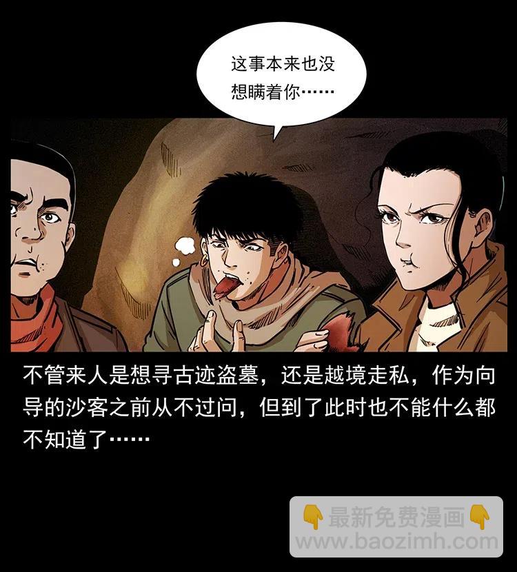 318 沙漠秃鹰51