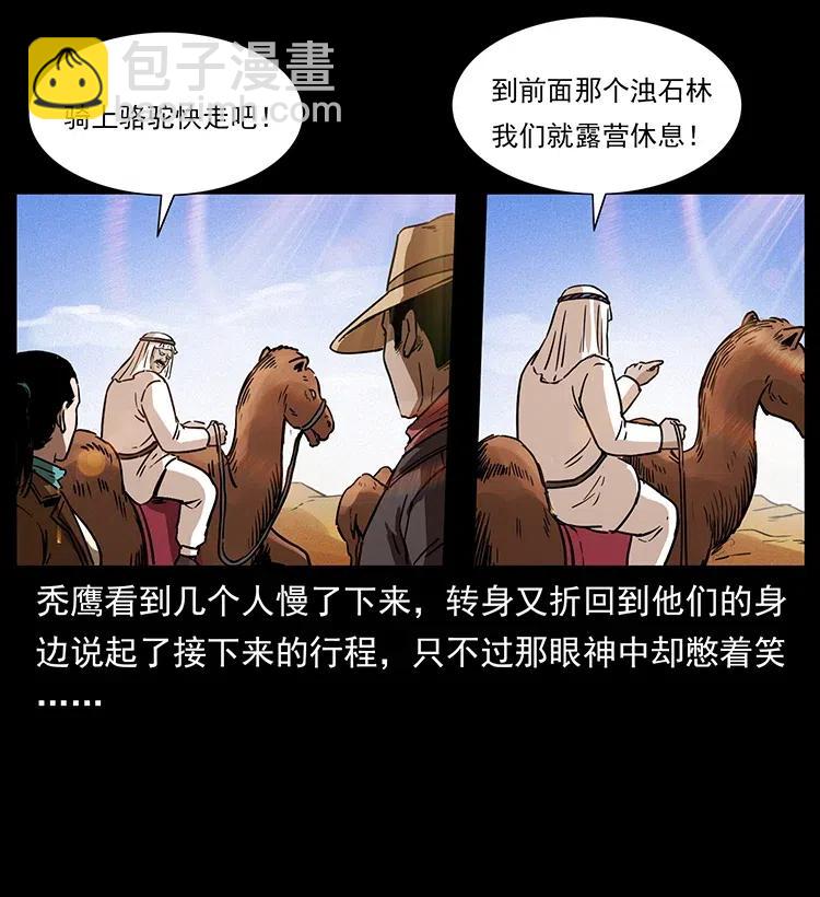 318 沙漠秃鹰6