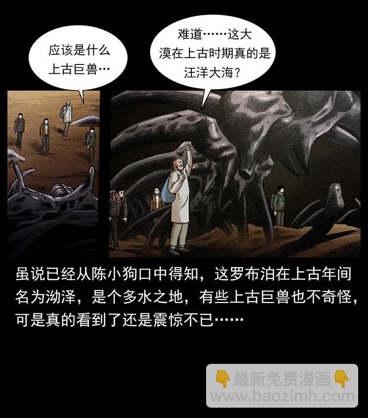 322 生死罗布泊2