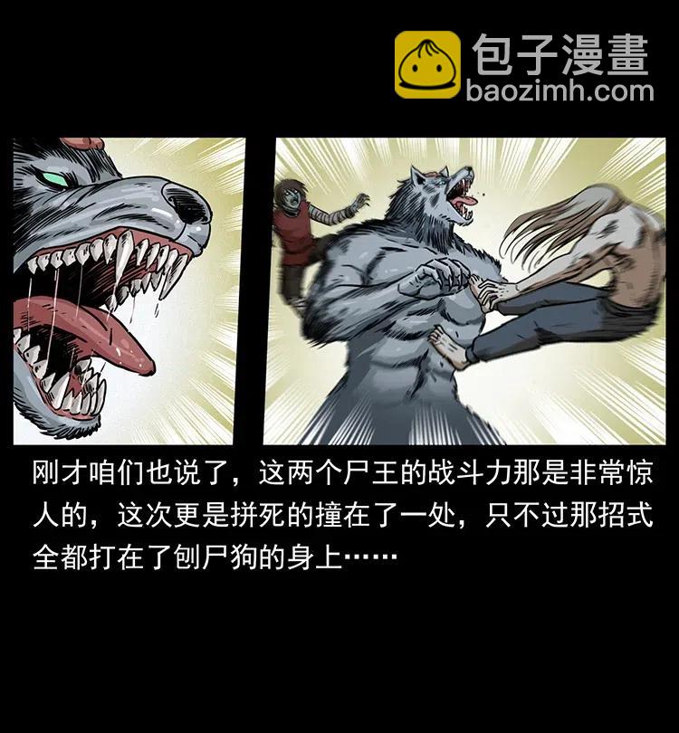 331 樊家尸王经27