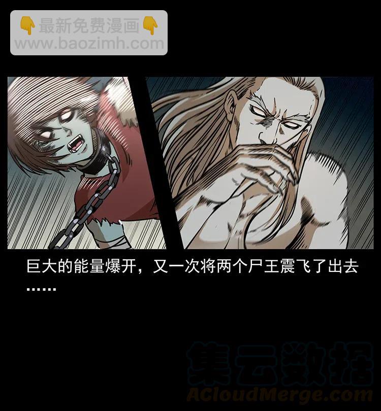 331 樊家尸王经28