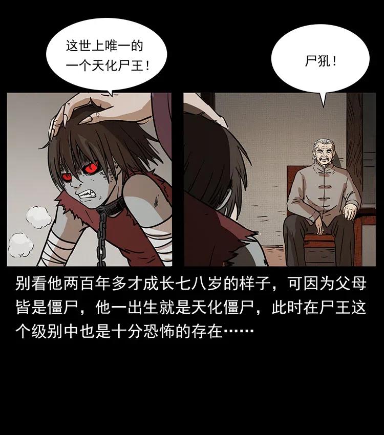 332 挺进大湘西34