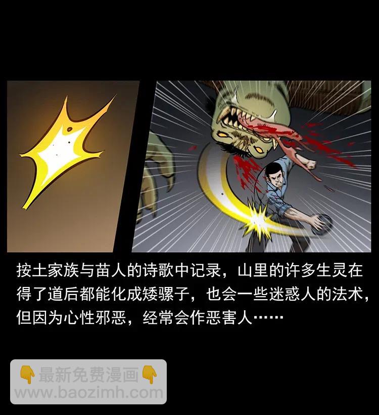 334 山神爷现身41