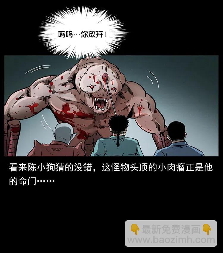 334 山神爷现身63
