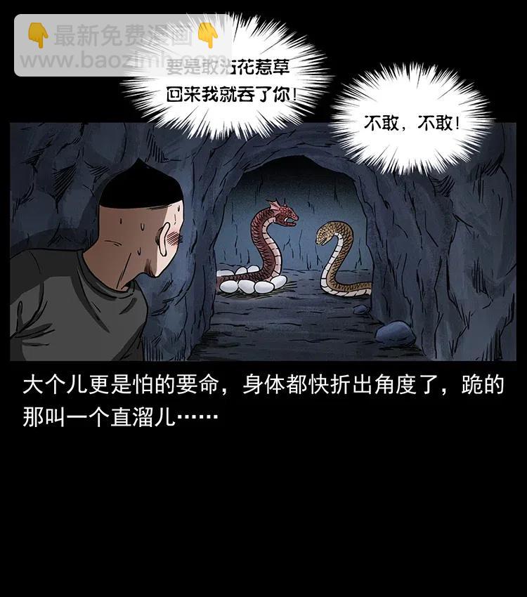 335 出山29