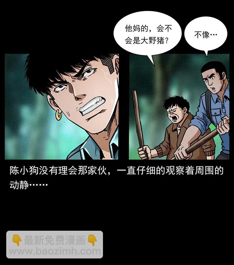 341 咒术81